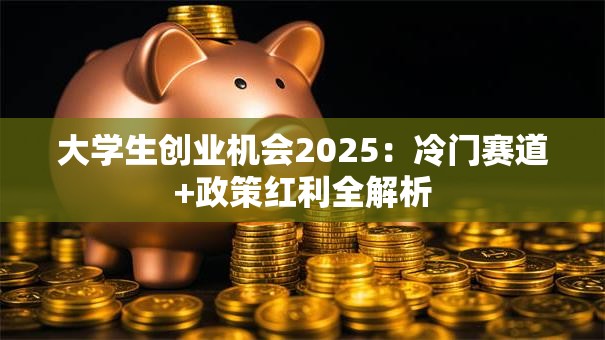 大学生创业机会2025：冷门赛道+政策红利全解析