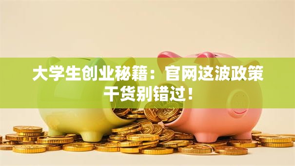 大学生创业秘籍：官网这波政策干货别错过！