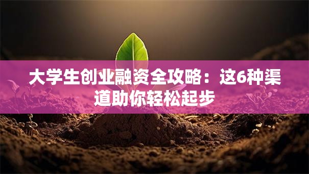 大学生创业融资全攻略：这6种渠道助你轻松起步