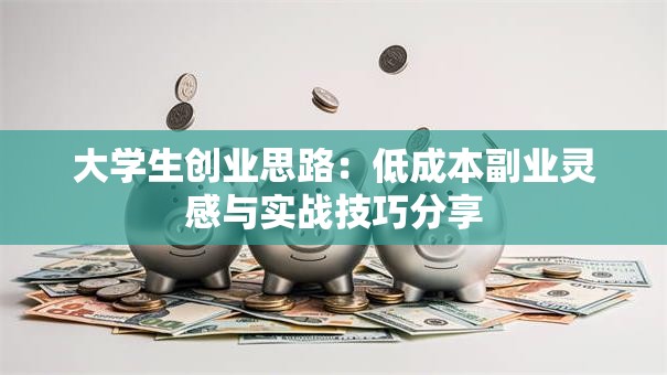 大学生创业思路:低成本副业灵感与实战技巧分享 大学生创业思路:低成本副业灵感与实战技巧分享