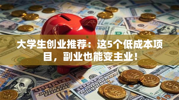 大学生创业推荐：这5个低成本项目，副业也能变主业！
