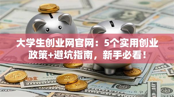 大学生创业网官网：5个实用创业政策+避坑指南，新手必看！