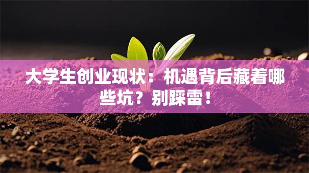 大学生创业现状：机遇背后藏着哪些坑？别踩雷！