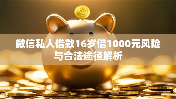 微信私人借款16岁借1000元风险与合法途径解析