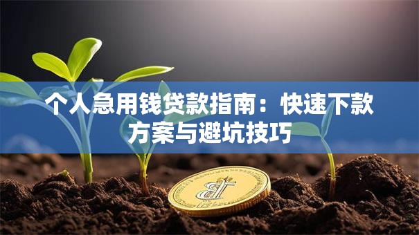 个人急用钱贷款指南：快速下款方案与避坑技巧