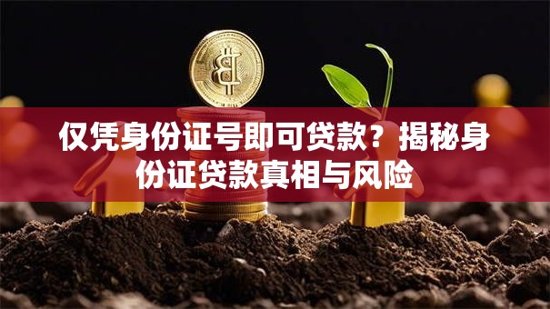 仅凭身份证号即可贷款？揭秘身份证贷款真相与风险