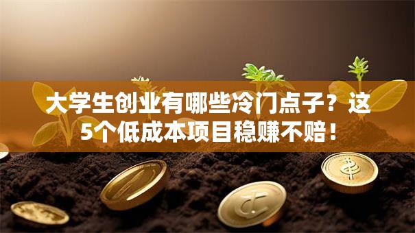 大学生创业有哪些冷门点子？这5个低成本项目稳赚不赔！