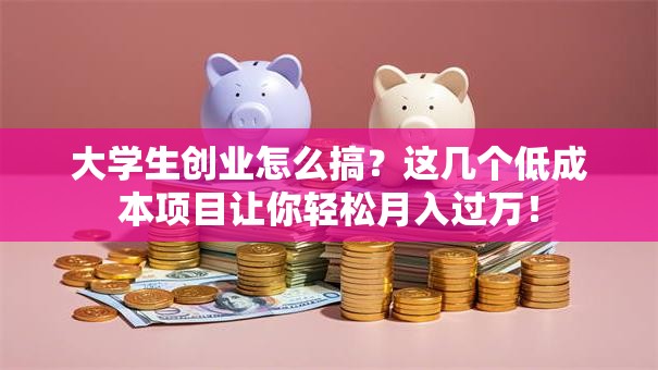 大学生创业怎么搞？这几个低成本项目让你轻松月入过万！