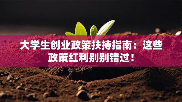 大学生创业政策扶持指南：这些政策红利别别错过！