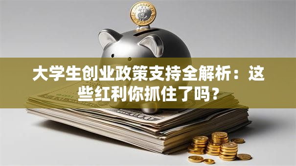 大学生创业政策支持全解析：这些红利你抓住了吗？