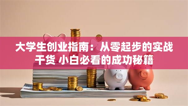 大学生创业指南：从零起步的实战干货 小白必看的成功秘籍
