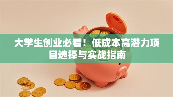 大学生创业必看！低成本高潜力项目选择与实战指南