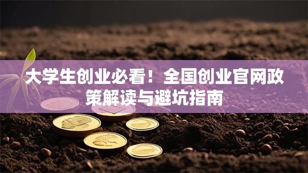 大学生创业必看！全国创业官网政策解读与避坑指南