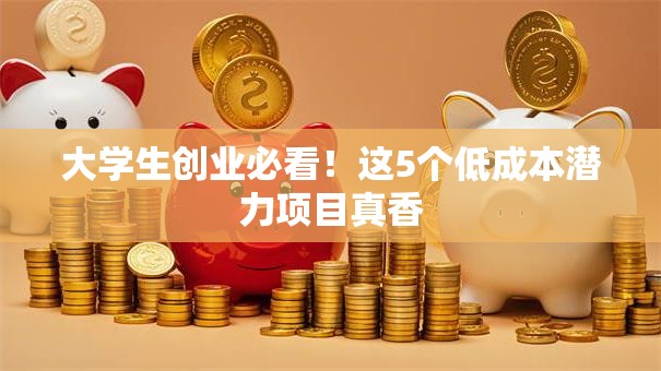 大学生创业必看！这5个低成本潜力项目真香