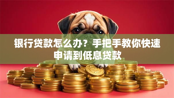 银行贷款怎么办？手把手教你快速申请到低息贷款