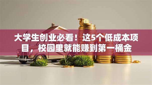 大学生创业必看！这5个低成本项目，校园里就能赚到第一桶金