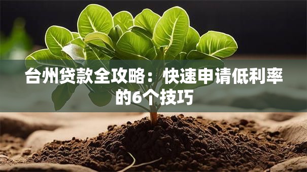 台州贷款全攻略：快速申请低利率的6个技巧