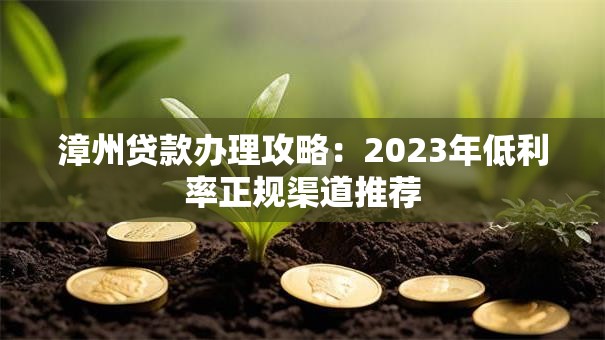 漳州贷款办理攻略：2023年低利率正规渠道推荐