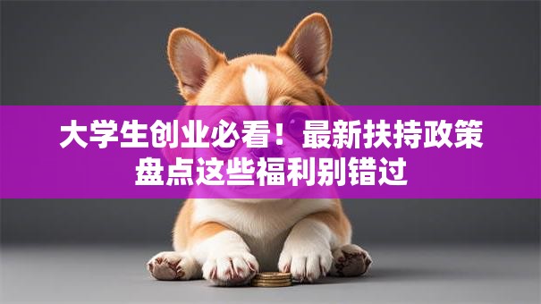 大学生创业必看！最新扶持政策盘点这些福利别错过
