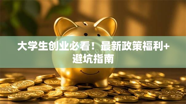 大学生创业必看！最新政策福利+避坑指南