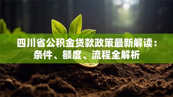 四川省公积金贷款政策最新解读：条件、额度、流程全解析