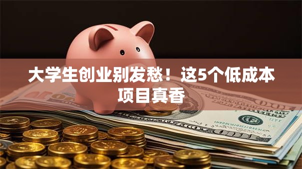 大学生创业别发愁！这5个低成本项目真香