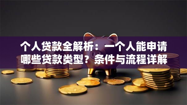 个人贷款全解析：一个人能申请哪些贷款类型？条件与流程详解