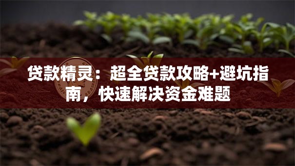 贷款精灵：超全贷款攻略+避坑指南，快速解决资金难题