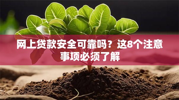 网上贷款安全可靠吗？这8个注意事项必须了解
