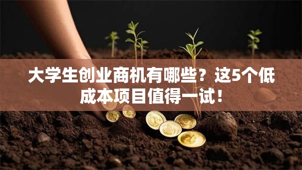 大学生创业商机有哪些？这5个低成本项目值得一试！
