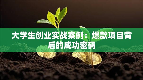 大学生创业实战案例：爆款项目背后的成功密码