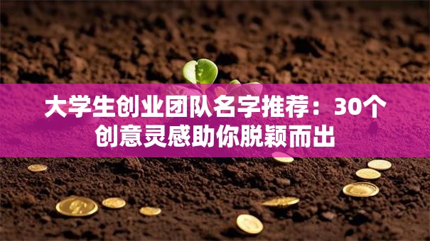 大学生创业团队名字推荐：30个创意灵感助你脱颖而出