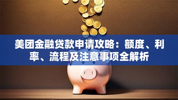 美团金融贷款申请攻略：额度、利率、流程及注意事项全解析