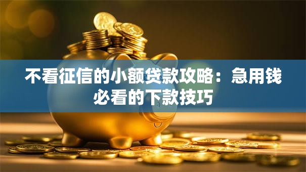 不看征信的小额贷款攻略：急用钱必看的下款技巧