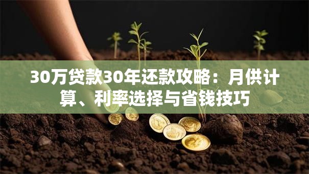 30万贷款30年还款攻略：月供计算、利率选择与省钱技巧