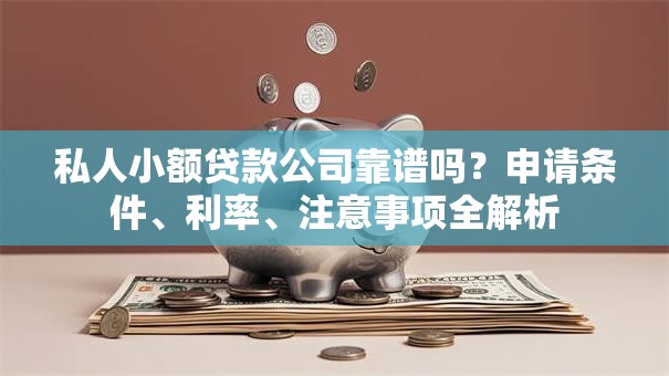 私人小额贷款公司靠谱吗？申请条件、利率、注意事项全解析