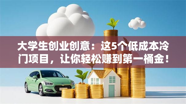 大学生创业创意：这5个低成本冷门项目，让你轻松赚到第一桶金！