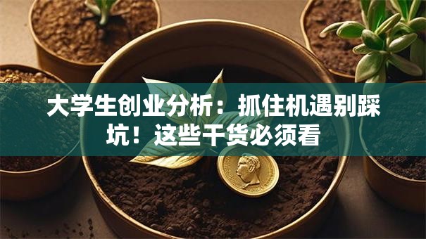 大学生创业分析：抓住机遇别踩坑！这些干货必须看