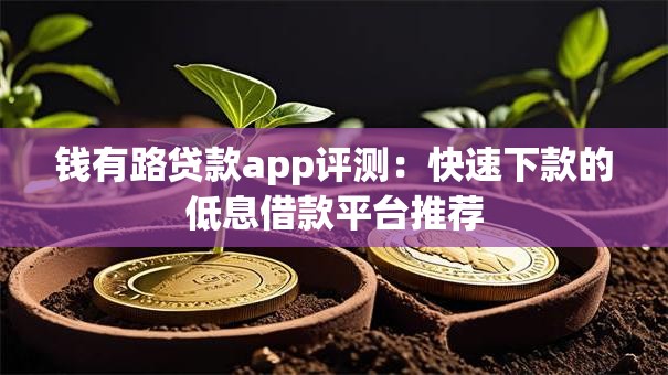 钱有路贷款app评测：快速下款的低息借款平台推荐