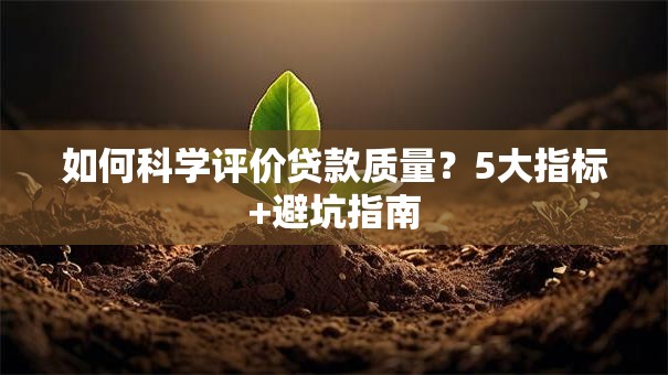 如何科学评价贷款质量？5大指标+避坑指南