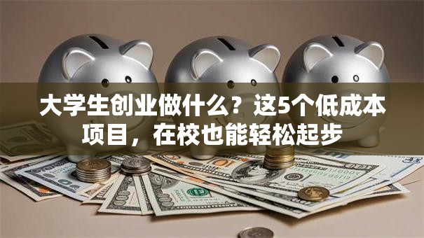 大学生创业做什么？这5个低成本项目，在校也能轻松起步