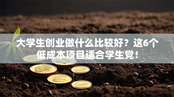 大学生创业做什么比较好？这6个低成本项目适合学生党！