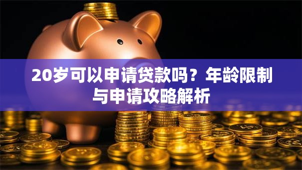20岁可以申请贷款吗？年龄限制与申请攻略解析