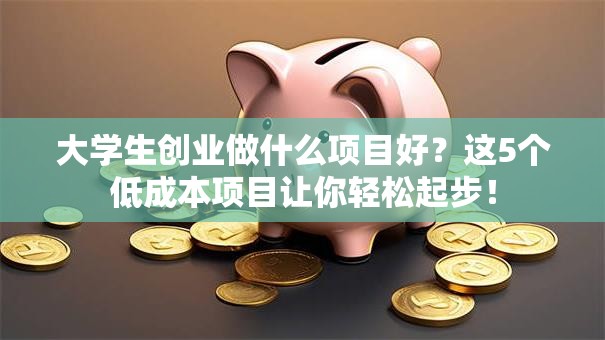 大学生创业做什么项目好？这5个低成本项目让你轻松起步！