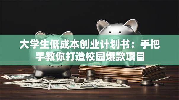 大学生低成本创业计划书：手把手教你打造校园爆款项目