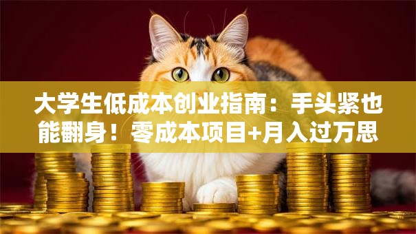大学生低成本创业指南：手头紧也能翻身！零成本项目+月入过万思路