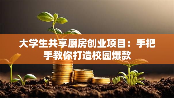 大学生共享厨房创业项目：手把手教你打造校园爆款