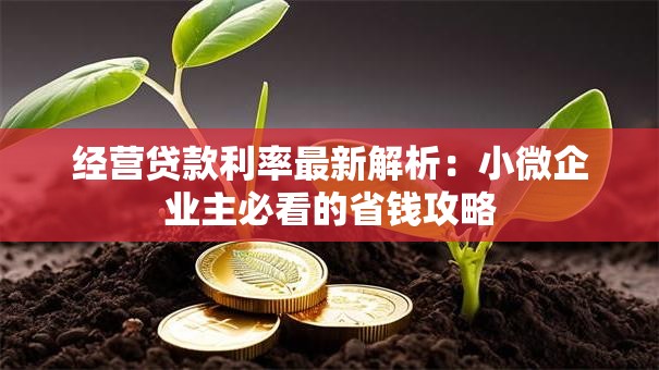 经营贷款利率最新解析：小微企业主必看的省钱攻略