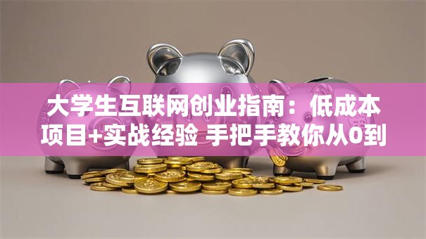 大学生互联网创业指南：低成本项目+实战经验 手把手教你从0到1