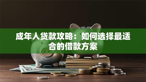 成年人贷款攻略：如何选择最适合的借款方案